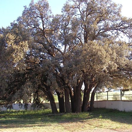 ויארובלדו Agroturismo Calixto מראה חיצוני תמונה