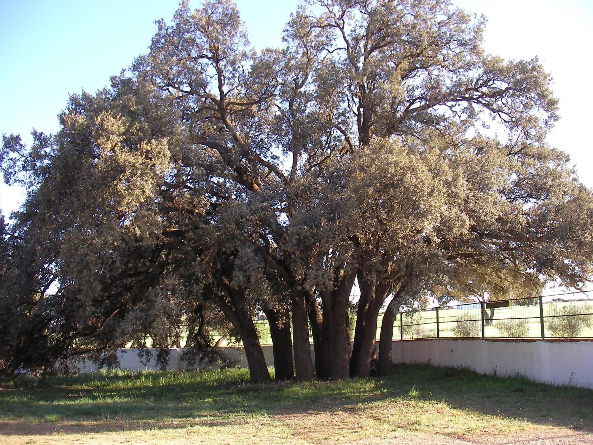 ויארובלדו Agroturismo Calixto מראה חיצוני תמונה